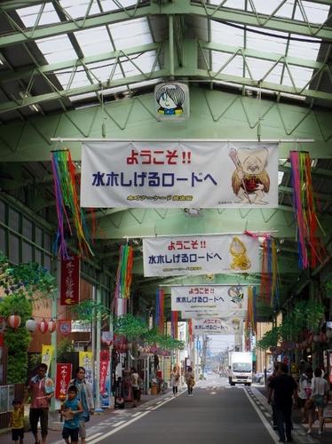 IMGP3844 (479x640).jpg
