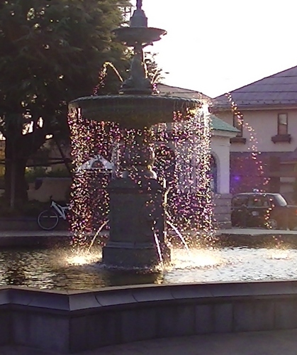 PIC_0704.JPG