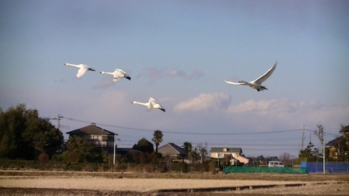 PIC_0965 (640x360).jpg