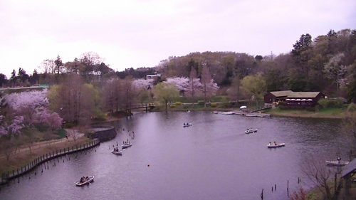 PIC_1127 (640x360).jpg